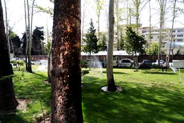 بهار در قاب دانشگاه علوم بهزیستی و توانبخشی